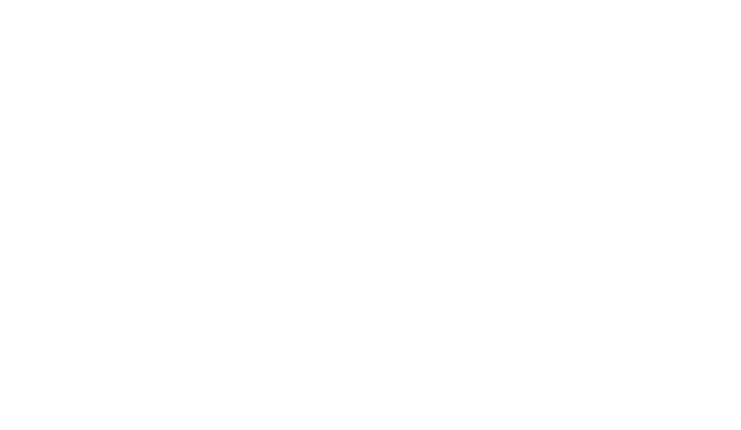 Levy's